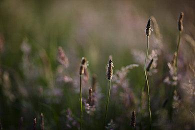 索尼第一方免费服务型游戏或在2023财年推出